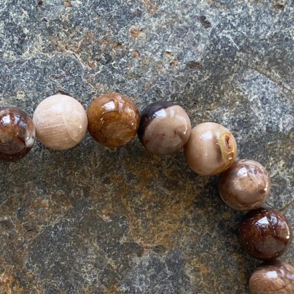 Agate Fossile